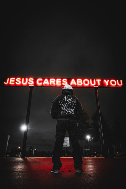 NOT OF THE WORLD HOODIE