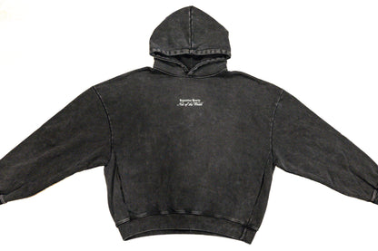 NOT OF THE WORLD HOODIE