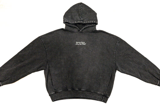 NOT OF THE WORLD HOODIE