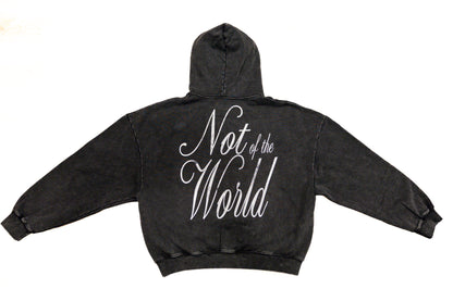 NOT OF THE WORLD HOODIE
